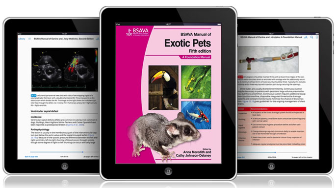 Bsava Manual Of Exotic Pet And Wildlife Nursing